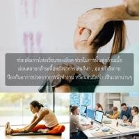 ราคา แก้ปวด aptonia massage tool นวดคลายกล้ามเนื้อจากการออกกำลังกาย นวดเท้า นวดหลัง นวดน่อง ลดอาการปวดออฟฟิศซินโดรม (28256675440)