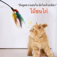 ราคา ไม้ล่อแมวขนนก ไม้ตกแมวขนนกสีรุ้ง ของเล่นแมว น้องแมวชอบ (26594122998)