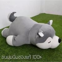 ราคา ถูกที่สุด พร้อมส่งตุ๊กตา หมาชิบะ หมาไซบีเรียน ขนาด 110cm. (20904259841)