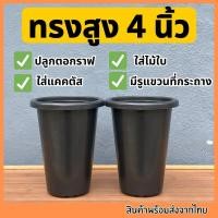 ราคา กระถางทรงสูง 4 นิ้ว กระถางไม้กราฟ กระถางตอกราฟ กระถางแขวน กระถาง4นิ้ว (16440321540)