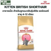 ราคา Royal Canin Royal Cat Kitten British Shorthair 10 กิโลกรัม (25093665992)