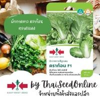 ราคา Sorndang(ศรแดง) GGEW เมล็ดพันธุ์ ขาวปลี ดราก้อน 300 เมล็ด ตราศรแดง Cabbage ผักกาดขาวปลี พันธุ์เบา ผักกาดขาว (27587342267)