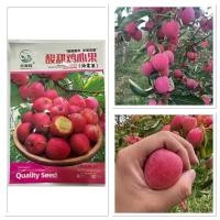 ราคา เมล็ดพันธุ์ แอปเปิ้ล หัวใจไก่ หรือ แอปเปิ้ล ราชินี Queen Apple Seed บรรจุ 15 เมล็ด ไห่ถาง (46106744295)