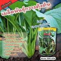 ราคา เมล็ดพันธุ์กวางตุ้งต้น ยินดี ขนาด 500 กรัม (27554435006)