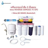 ราคา เครื่องกรองน้ำดื่ม 6 ขั้นตอน ระบบ Reverse Osmosis 75 GPD (4195757560)