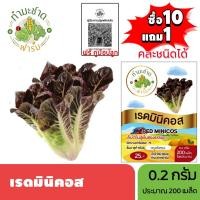ราคา ทำมะชาดฟาร์ม (ซื้อ10แถม1) เมล็ดพันธุ์ เรดมินิคอส ขนาด0.2กรัม ประมาณ200เมล็ด RED MINICOS ROMAINE LETTUCE เบบี้คอส (7835816788)