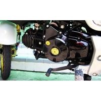 ราคา น็อตปิดจานไฟ อุดจานไฟ Honda อุปกรณ์แต่งรถ อะไหล่แต่งรถ อะไหล่มอเตอร์ไซค์ มอเตอร์ไซค์ (982952355)