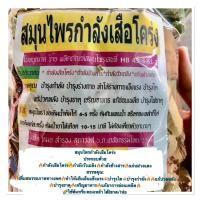 ราคา สมุนไพรกำลังเสือโคร่งเพิ่มสมรรถภาพ(1ห่อดองเหล้าได้6ขวด) (23268356310)