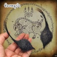 ราคา MUT[88]ช้องหมูป่า เป็นของทนสิทธิ์ ที่หมูป่าหวงแหนมาก อานุภาพคงกระพันชาตรีทำมาหากินคล่องตัวมีแต่คนเมตตา (19680774812)