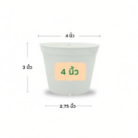 ราคา กระถางต้นไม้ สีขาว พลาสติก หลากหลายขนาด (57956848063)