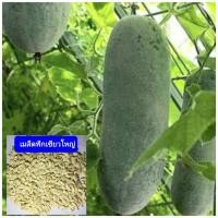 ราคา เมล็ดฟักเขียวใหญ่ ฟักเขียว ฟักหอม 1 ซอง บรรจุ 30 เมล็ด (14601253258)