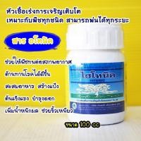 ราคา ไฮโทนิค #อโทนิค 100cc สารกระตุ้นการกินอาหารของพืช ขั้วเหนียว ขยายผล สร้างอาหาร #ซันโทนิค (9427293622)