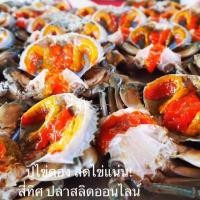 ราคา ปูไข่ดอง สดใหม่ ไข่แน่น! Size L ขนาด 3ตัวโล(บรรจุ 1 ตัว: กล่อง) (2738172507)