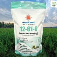 ราคา 12-61-0 (แบรนด์) ขนาด 1kg (ดวงตะวันเพชร) #แอลเจอะโกร (57307449629)