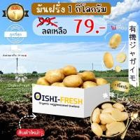 ราคา Oishi-Freshมันฝรั่ง ปลอดสารพิษ 1 กก. รสชาติกรอบ สด ใหม่ ใยอาหารสูง หวานออร์แกนิค เคลมได้ 1-2 วัน (26269020423)