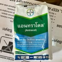 ราคา แอนทราโคล ขนาด 500 กรัม ( Antracol ) สารโพรพิเนบ สารป้องกันและกำจัดโรคพืช (47102329799)