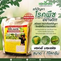 ราคา KOKOMAX สารชีวภาพกำจัดโรคพืช ไตรโคเดอร์ม่า อย่างดี ซื้อ 5 แถม 1 (43828660509)