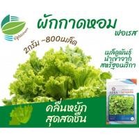 ราคา ผักกาดหอม ~800 เมล็ด (Lettuce Forest)​ ผักสลัด (7938988952)