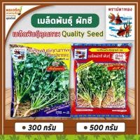 ราคา เมล็ดพันธุ์ผักชี ผักชีพูนผล ผักชีบิ๊กเอ ผักชีสามเอ (Quality Seed) เมล็ดผักชีถุงใหญ่ เมล็ดผักชีปลาวาฬ เมล็ดผักชีปลาทอง (9850780428)