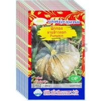 ราคา เมล็ดพันธุ์ฟักทองลายข้าวตอก ภูเขาทอง ขายส่ง ยกห่อ (1 ห่อ บรรจุ 10 ซอง) (41958969430)