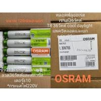 ราคา หลอดไฟนีออน หลอดยาวOSRAM BASIC PLUS TL-D 36W/765 แสงขาว DAYLIGHT (28011218854)