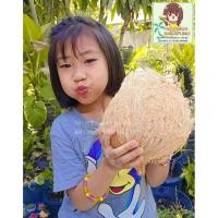 ราคา มะพร้าวกะทิแบบลูกสด จากสวนอำเภอทับสะแกจังหวัดประจวบคีรีขันธ์ (57500691359)