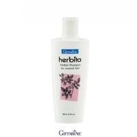 ราคา แชมพูกิฟฟารีน แชมพูสูตรสมุนไพร-เฮอร์บิต้า-สำหรับผมธรรมดา (57002471351)
