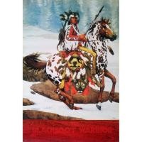 ราคา โปสเตอร์ ภาพกราฟฟิก อเมริกัน อินเดียแดง Native American Indian Graphic POSTER 21”x30” Inch Painting Western V17 (1865580355)