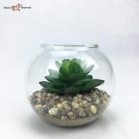 ราคา สวนโหลแก้ว แคคตัสปลอม กุหลาบหินปลอมจัดในโหลแก้ว (22122213705)