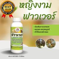 ราคา หญิงงามฟาวเวอร์ 1ลิตร (25180572203)