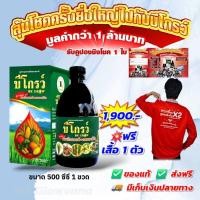 ราคา บีโกรว์ 500 cc ฮอร์โมนพืช ใบเขียว ป้องกันโรคและแมลง ของแท้ ส่งฟรี[แถมเสื้อ 1ตัว] (51607235774)