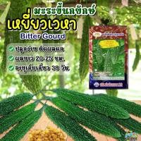 ราคา เมล็ดมะระขี้นกยักษ์ เหยี่ยวเวหา Bitter Gourd ตราภูเขาทอง เมล็ดพันธุ์มะระขี้นก เมล็ดมะระขี้นก (13912122485)