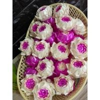 ราคา เหรียญโปรยทานดอกบัวดาว (22126474952)