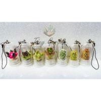 ราคา Mini Cactus Keyring พวงกุญแจกระบองเพชรจิ๋ว(สนใจสอบถามแบบทางข้อความนะคะ)​ (6815791137)