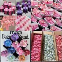 ราคา A1200-1 ดอกกล้วยไม้ 3มิติ จำลองฟาเลโนปซิสดอกเดียวเข็มกลัดติดเสื้อ ตกแต่งกล่องขนม เครื่องประดับผม หรือดอกไม้ประดิษฐ์ (46856260960)