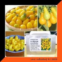 ราคา เมล็ดพันธุ์ มะเขือเทศลูกแพรสีเหลือง (Yellow Pear Tomato Seed) บรรจุ 80 เมล็ด คุณภาพดี ราคาถูก ของแท้ 100% (5893664702)