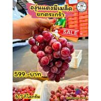 ราคา องุ่นแดงนอกออสเตรเลีย ลูกใหญ่(มีเมล็ด)เนื้อหวานฉ่ำเยลลี่น้ำหนักรวมตระกร้า4-5กิโลกรัม (29766167867)