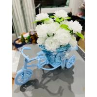 ราคา ดอกมะลิวันแม่ พร้อมจักรยาน มีให้เลือก3สีจร้า ชุดจักรยาน+กระถางดอกมะลิสีขาววันแม่ ชุดดอกไม้วันแม่อย่างดี (28654903133)