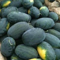 ราคา เมล็ดพันธุ์ แตงโมดำ บรรจุ 10เมล็ด Giant Black Beauty Watermelon Seeds for Planting Water Melon Fruit Seeds เมล็ดแตงโม (53300260484)