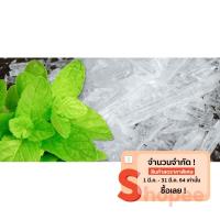 ราคา เกล็ดเมนทอล (คริสตัล) (Menthol Crystal) (1908100393)