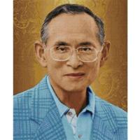 ราคา PINN SHOP ชุดปักครอสติช : ในหลวง [GO-005] (49607696498)