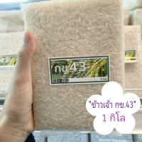 ราคา (1ถุง/1กิโล).ข้าวกล้อง,ข้าวซ้อมมือ"ข้าวหอมมะลิ" (56952516894)
