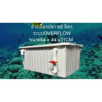 ราคา อ่างเลี้ยงปลา 65 ลิตร อ่างขาวท่อขาว ระบบระบายน้ำดูดบนดูดล่าง 64x44x31ซ. อ่างปลาสวย กะบะเลี้ยงปลา อ่างปลาบอลลูน อ่า (42628383389)