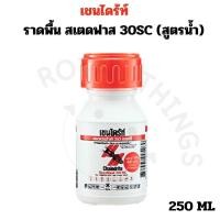 ราคา เชนไดร้ท์ สเตดฟาส 30 เอสซี น้ำยากำจัดปลวก ยาฆ่าปลวกแบบเข้มข้น เชนไดร้ท์สเตดฟาส น้ำยาราดพื้นกันปลวก เชนไดร้ท์ราดพื้น (25282495632)