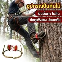 ราคา CO-อุปกรณ์ปีนต้นไม้ พร้อมรองเท้าปีน + เชือกนิรภัย ชุดปีนเสาไม้ แข็งแรง ปลอดภัย (48159445750)