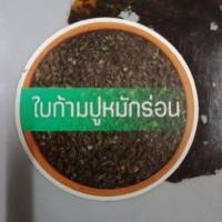 ราคา ใบก้ามปูหมักร่อน ใบก้ามปูหมัก 4 ลิตร ใบก้ามปู (20627583058)