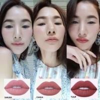ราคา ลิปสติกเนื้อแมทMatte Lip Color Chomnita (1529776987)