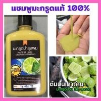 ราคา แชมพูแก้ผมร่วง ผมคันผมมันและรังแคผลิตจากมะกรูดแท้100%ปราศจากเคมี (24466459335)