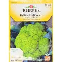 ราคา กะหล่ำดอกสีเขียว - Green Cauliflower F1 (1457559364)