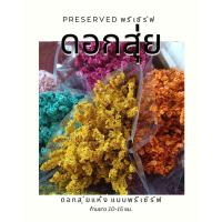 ราคา ดอกสุ่ยแห้ง ดอกไม้จริง แบบ Preserved พรีเซิร์ฟ 20 บาท (51308370728)
